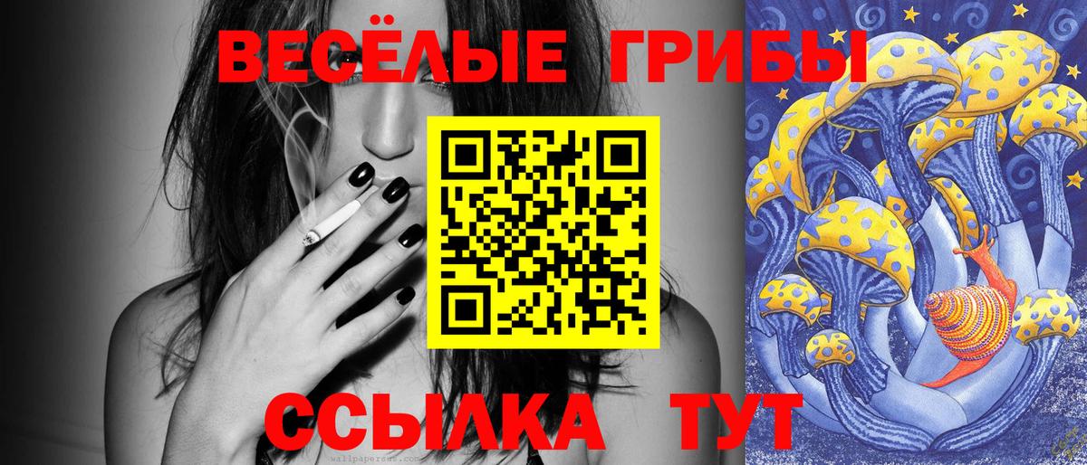 Гусь-Хрустальный  Галлюциногенные грибы Psilocybine cubensis  Псилоцибиновые грибы Magic Shrooms  Вход с VPN 